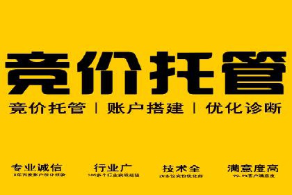 百度推广技巧：案例解析